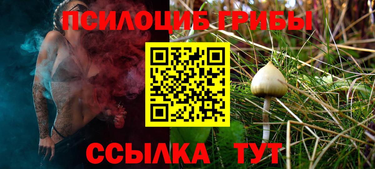 Галлюциногенные грибы MAGIC MUSHROOMS  Галлюциногенные грибы ЛСД  Екатеринбург  Вход с VPN 